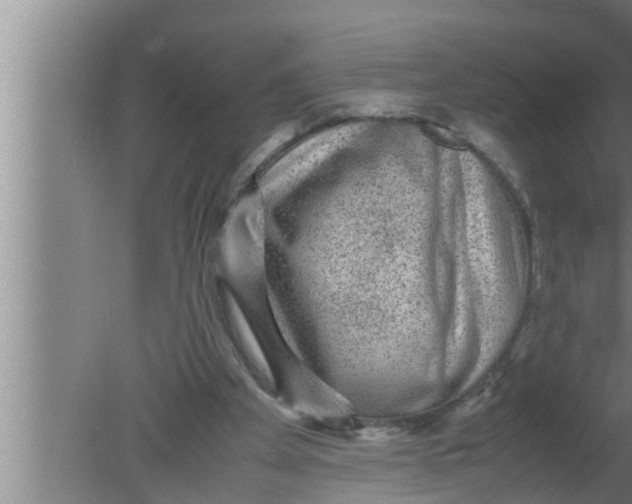 X0000080160105200612302204