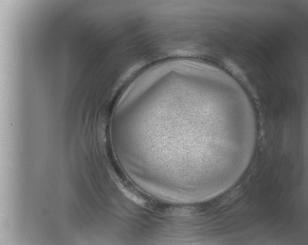 X0000080160106200612302204