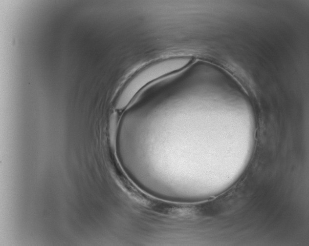 X0000080160107200612302204