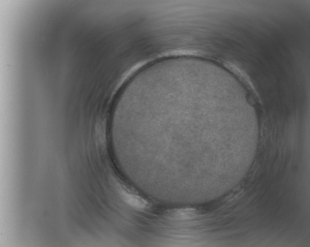 X0000080160108200612302204