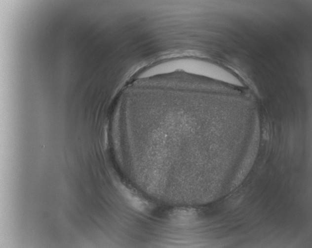 X0000080160110200612302204