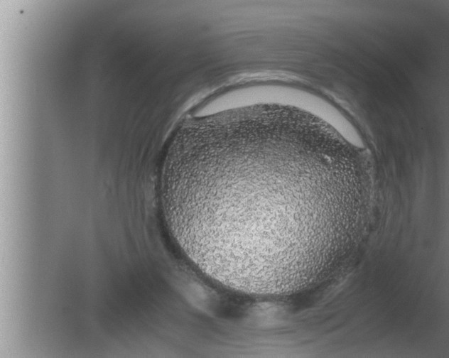 X0000080160111200612302203