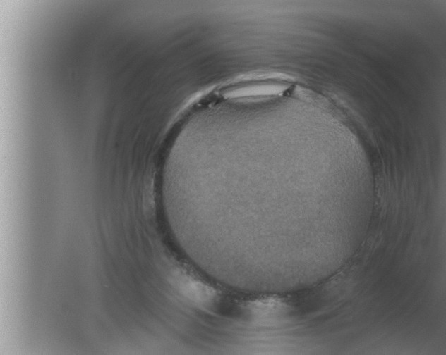 X0000080160112200612302203