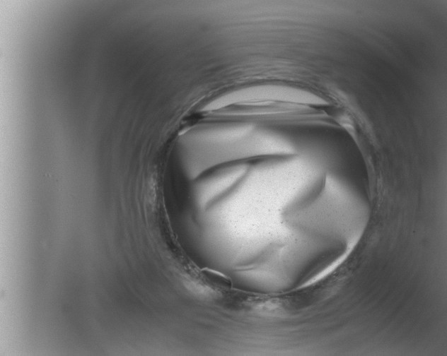 X0000080160113200612302203