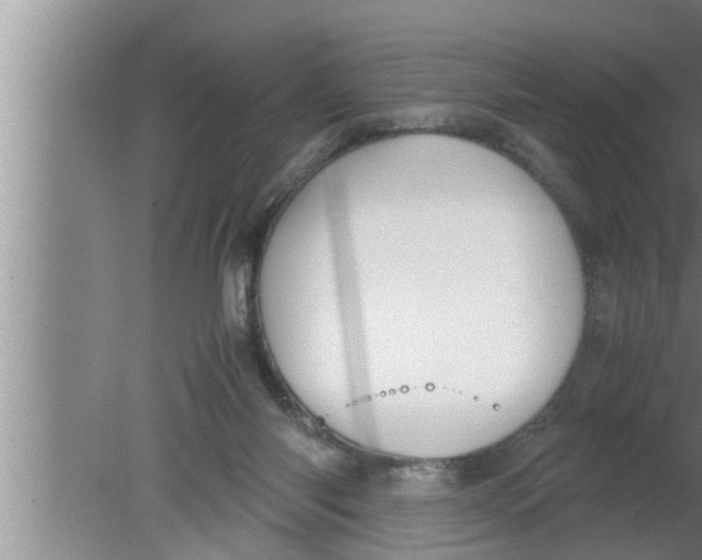 X0000080160118200612302203