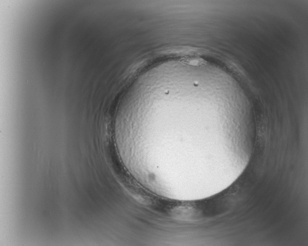 X0000080160119200612302203