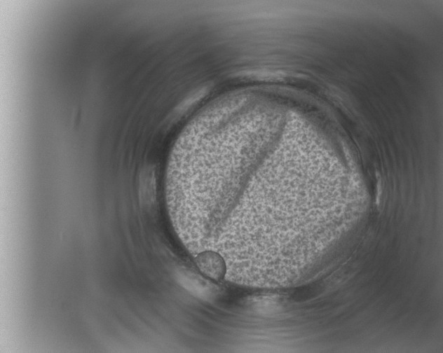 X0000080160120200612302203