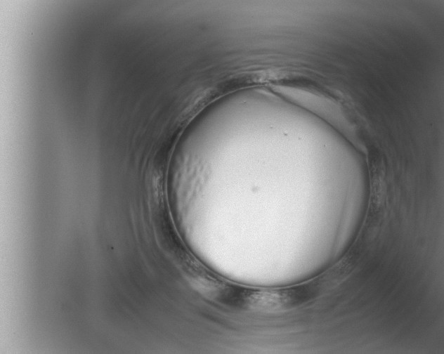 X0000080160123200612302203