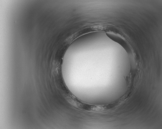 X0000080160125200612302203