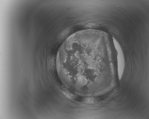 X0000080160127200612302203