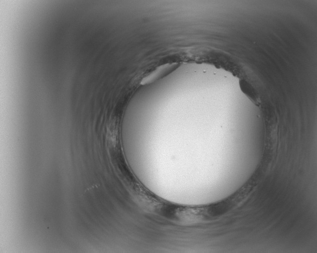 X0000080160129200612302203