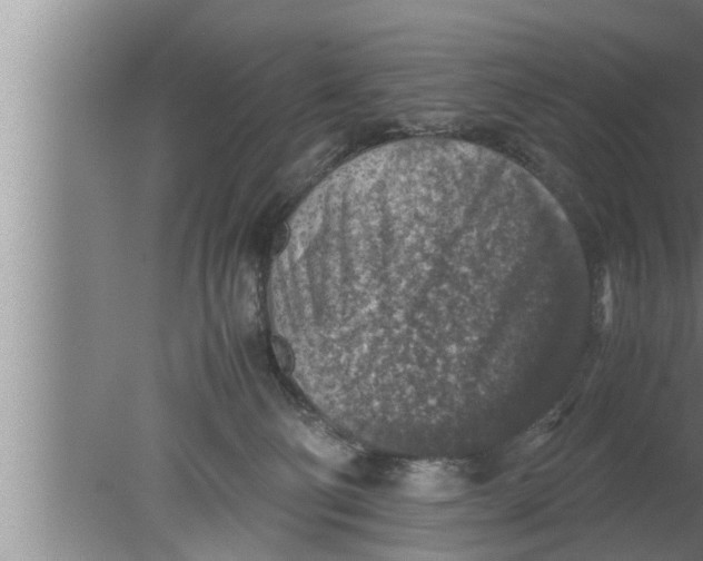 X0000080160130200612302203