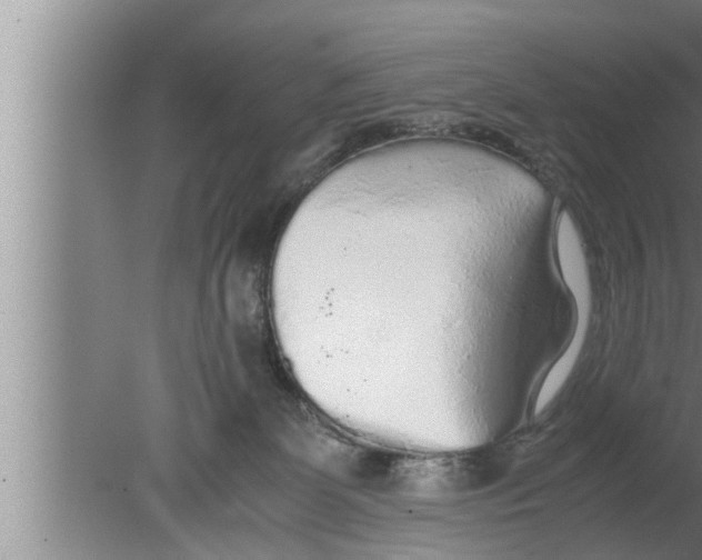 X0000080160131200612302203