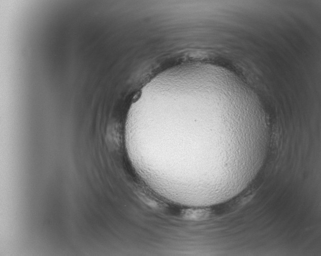 X0000080160135200612302203