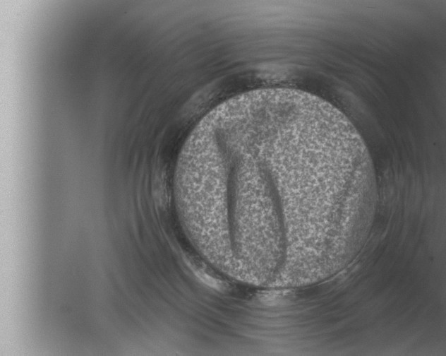 X0000080160136200612302203