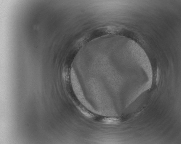 X0000080160137200612302203