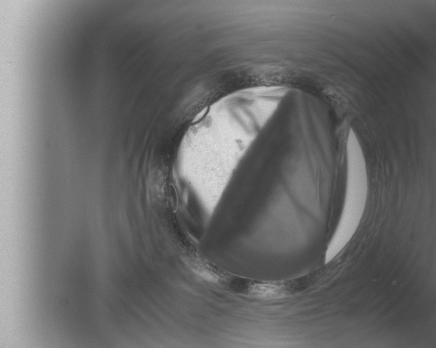 X0000080160139200612302203