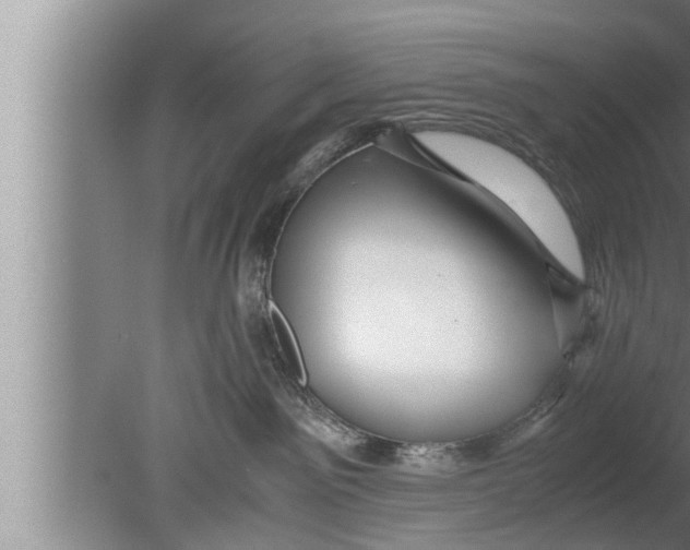 X0000080160141200612302203