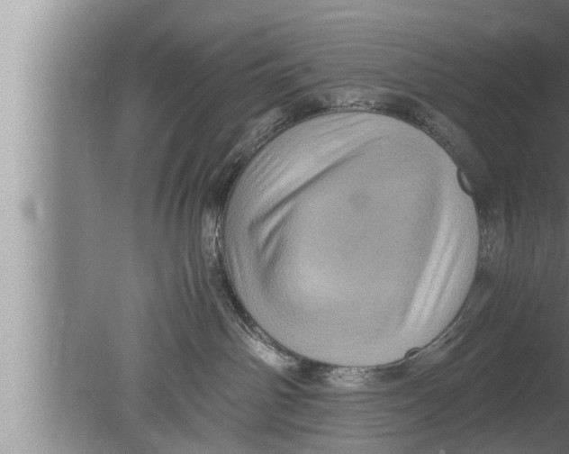 X0000080160142200612302203