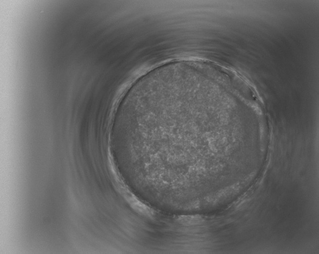 X0000080160145200612302202