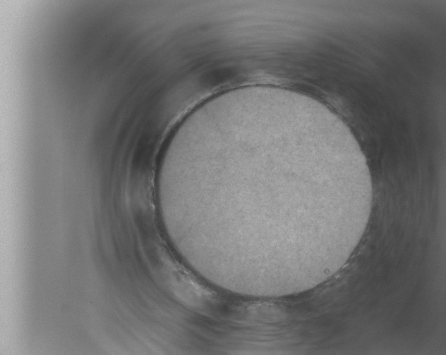 X0000080160146200612302202