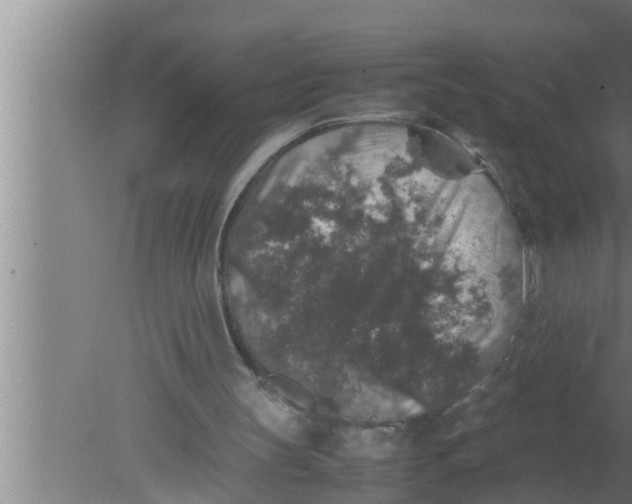 X0000080160147200612302202