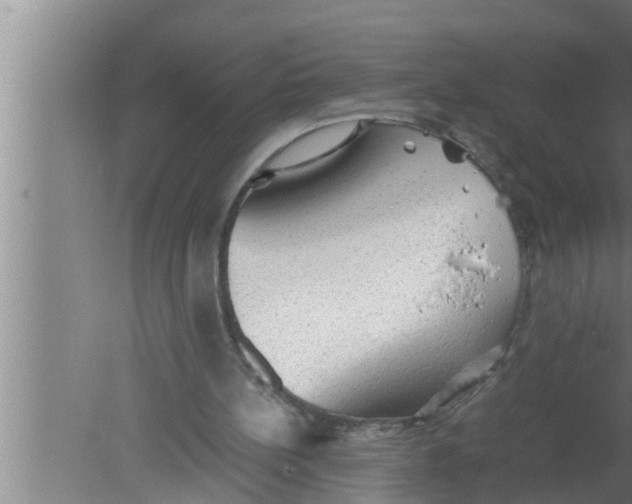 X0000080160148200612302202