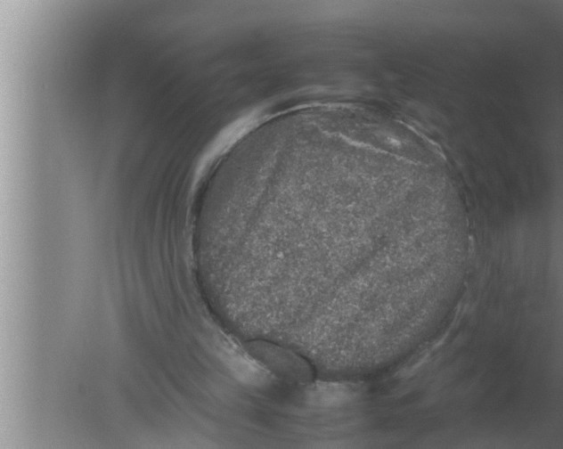 X0000080160149200612302202