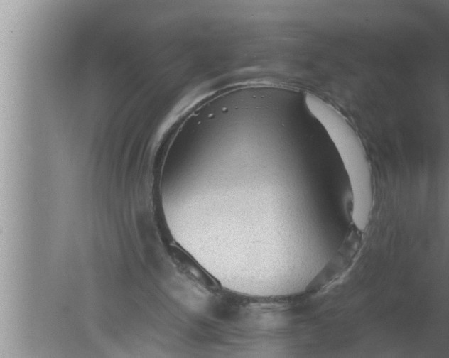 X0000080160150200612302202