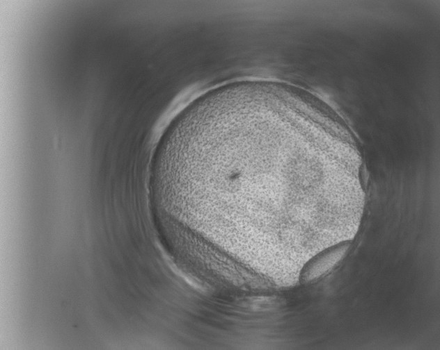 X0000080160151200612302202