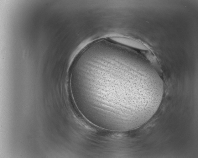 X0000080160152200612302202