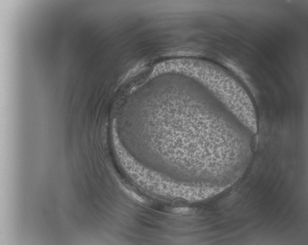 X0000080160153200612302202