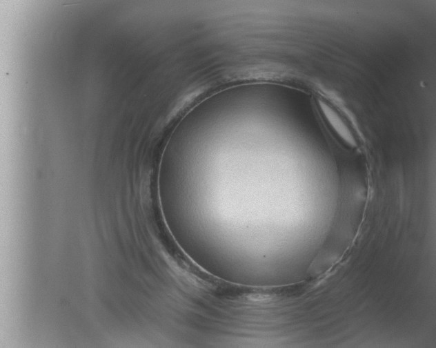 X0000080160154200612302202