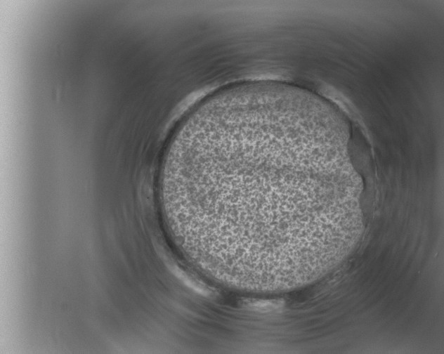 X0000080160155200612302202