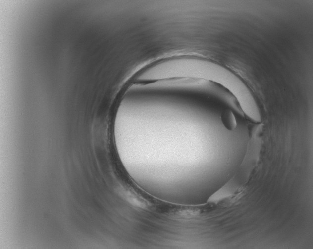 X0000080160156200612302202