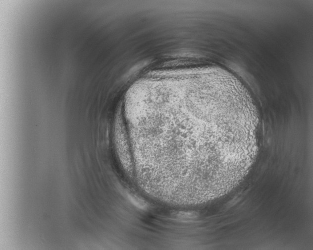 X0000080160157200612302202