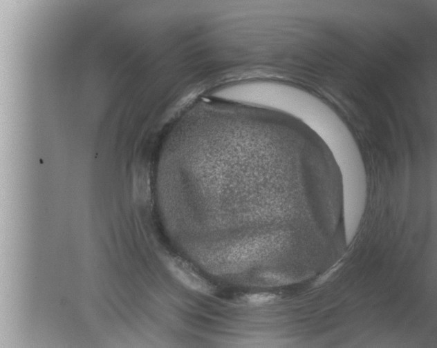 X0000080160158200612302202