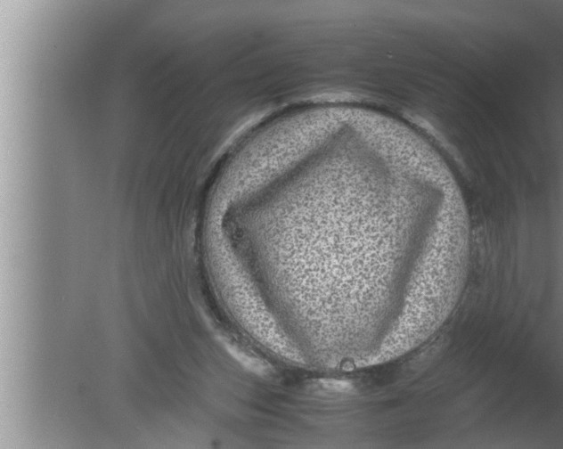 X0000080160159200612302202