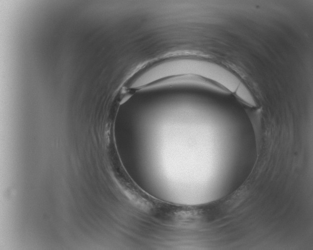 X0000080160160200612302202