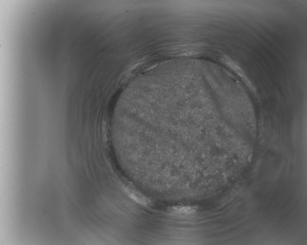 X0000080160161200612302202