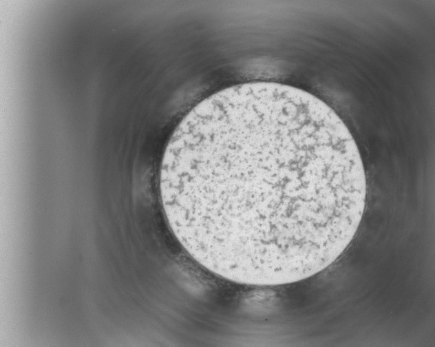 X0000080160162200612302202