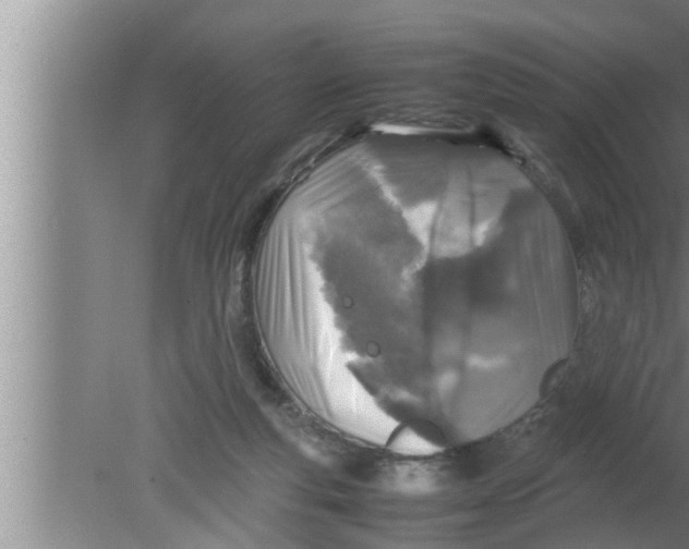 X0000080160163200612302202