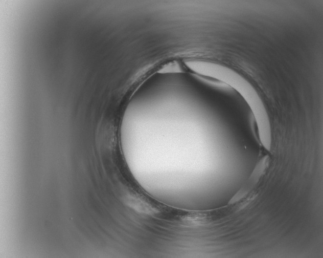 X0000080160164200612302202