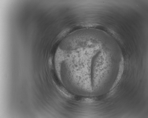 X0000080160166200612302202