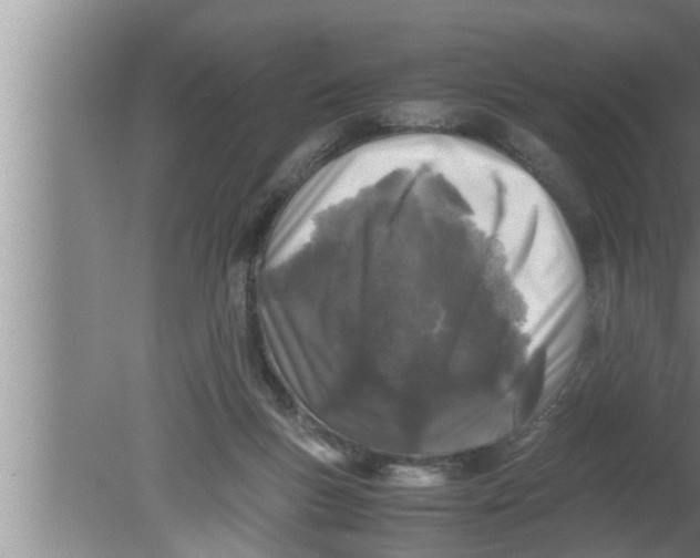 X0000080160167200612302202