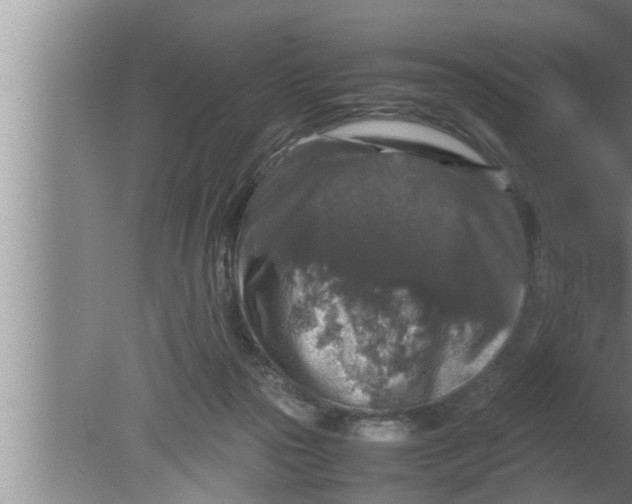 X0000080160169200612302203