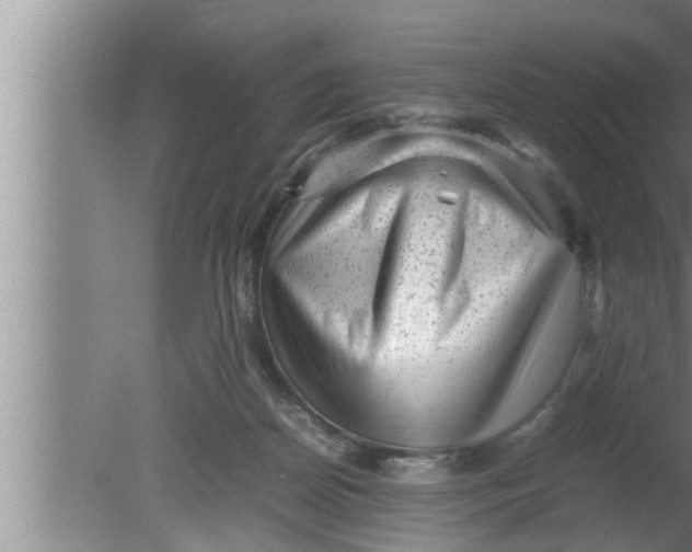 X0000080160170200612302203