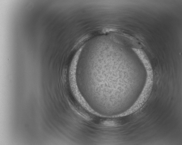 X0000080160171200612302203