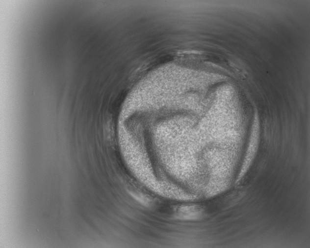 X0000080160173200612302203