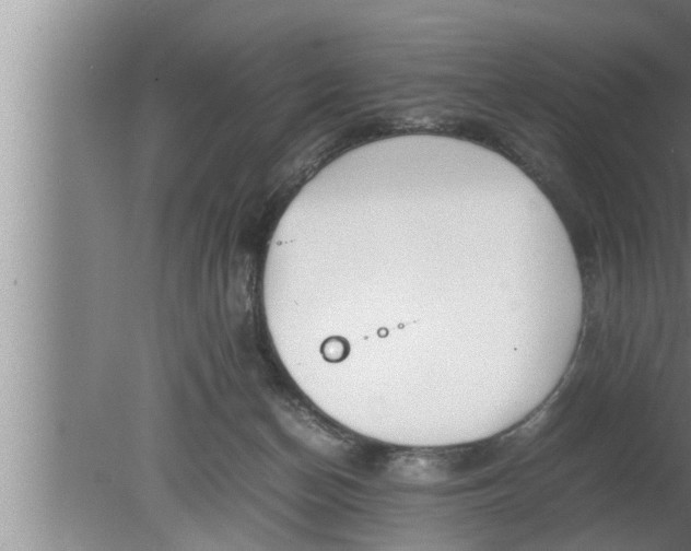 X0000080160174200612302203